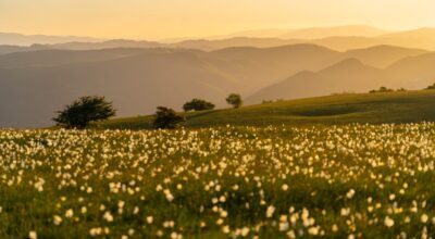 Primi dati sull’andamento della Pasqua ed i Ponti primaverili