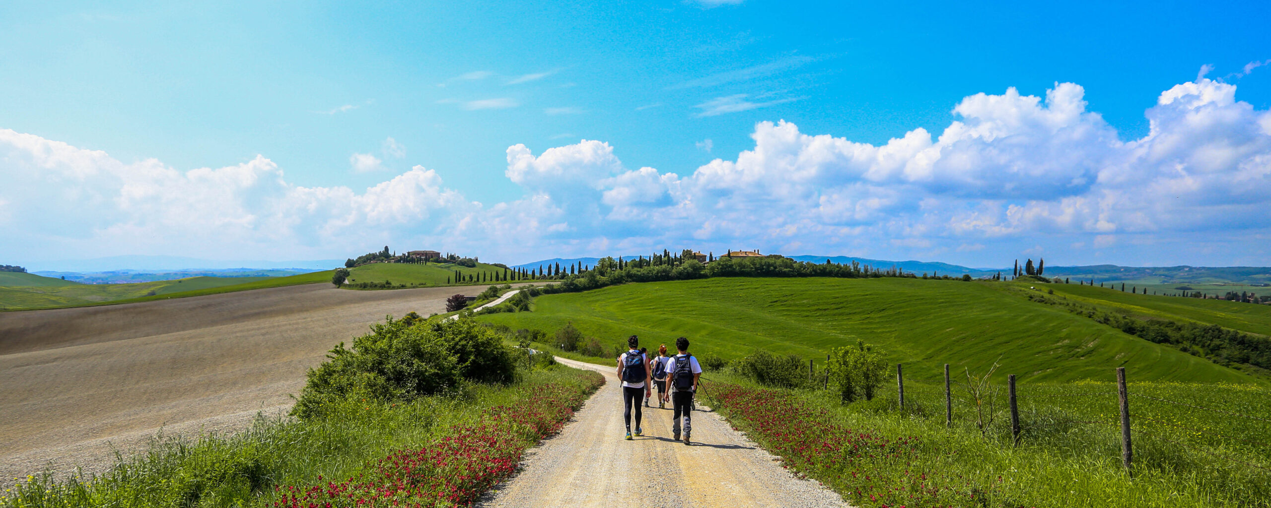 Cammini Aperti: edizione speciale 2025